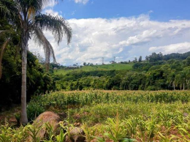 Sítio e chácara venda em Região Geográfica Imediata de Novo Hamburgo - São Leopoldo, Região Metropolitana de Porto Alegre