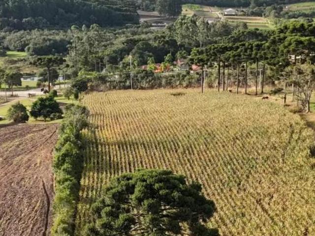 Sítio e chácara venda em Região Geográfica Imediata de Curitiba, Região Metropolitana de Curitiba