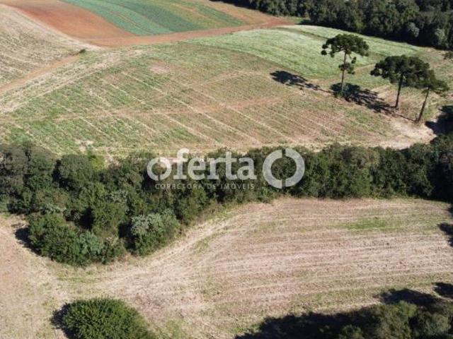 Sítio e chácara venda em Região Geográfica Imediata de Curitiba, Região Metropolitana de Curitiba