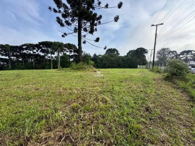 Fazenda venda em Região Geográfica Imediata de Curitiba, Região Metropolitana de Curitiba