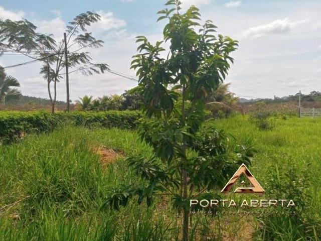 Terreno venda em Bom Jesus do Galho, Região Geográfica Intermediária de Ipatinga