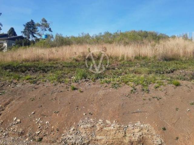 Sítio e chácara venda em Região Geográfica Imediata de Caxias do Sul, São Francisco de Paula