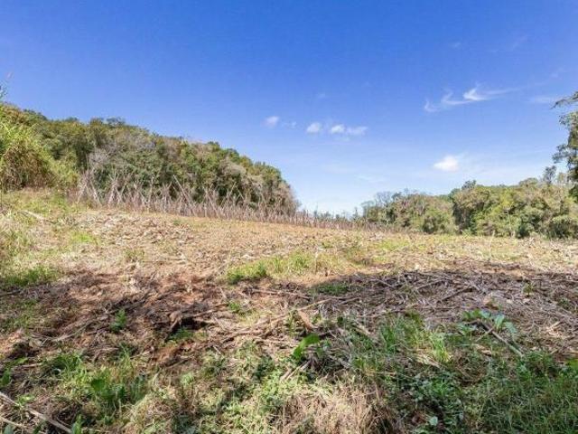 Sítio e chácara venda em Ferraria, Campo Largo