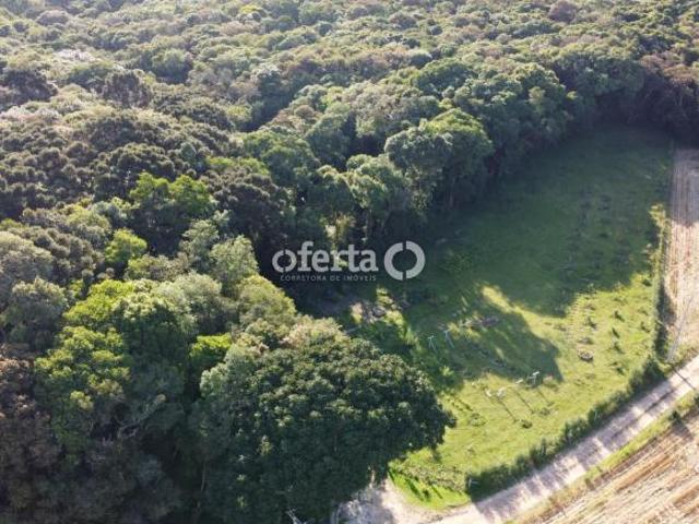 Sítio e chácara venda em Região Geográfica Imediata de Curitiba, Região Metropolitana de Curitiba