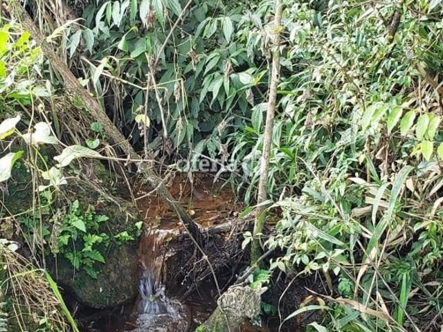 Sítio e chácara venda em Guajuvira, Araucária