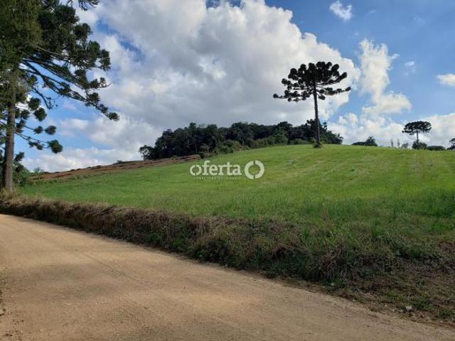 Sitio venda em Araucaria, Guajuvira