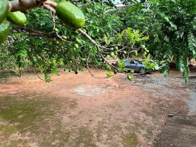 Sítio e chácara venda em Região Geográfica Imediata de Luziânia, Região Integrada de Desenvolvimento do Distrito Federal e Entorno
