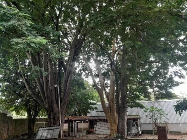 Sítio e chácara venda em Região Imediata de São José do Rio Preto, Região Metropolitana de São José do Rio Preto