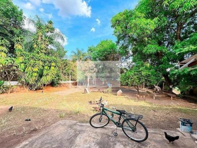 Sítio e chácara venda em Região Imediata de São José do Rio Preto, Região Metropolitana de São José do Rio Preto