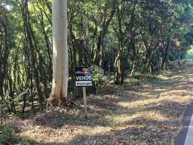 Sítio e chácara venda em Região Geográfica Imediata de Novo Hamburgo - São Leopoldo, Linha Nova
