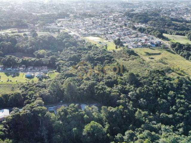 Sítio e chácara venda em Região Geográfica Imediata de Curitiba, Região Metropolitana de Curitiba