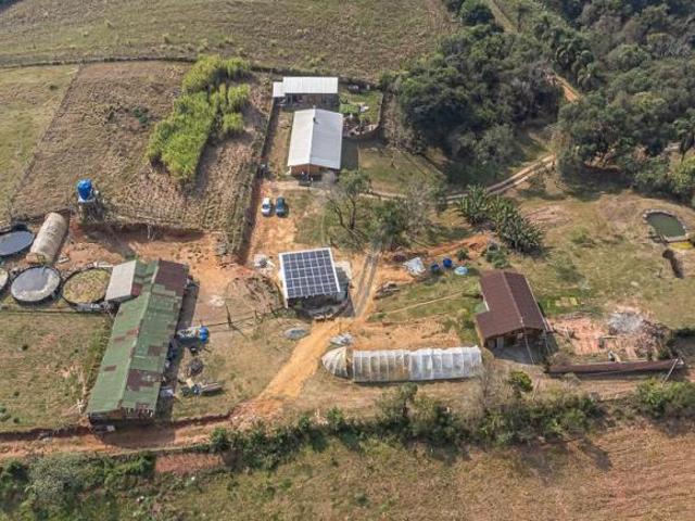 Sítio e chácara venda em Ferraria, Campo Largo