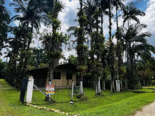 Sítio e chácara venda em Região Geográfica Imediata de Paranaguá, Antonina