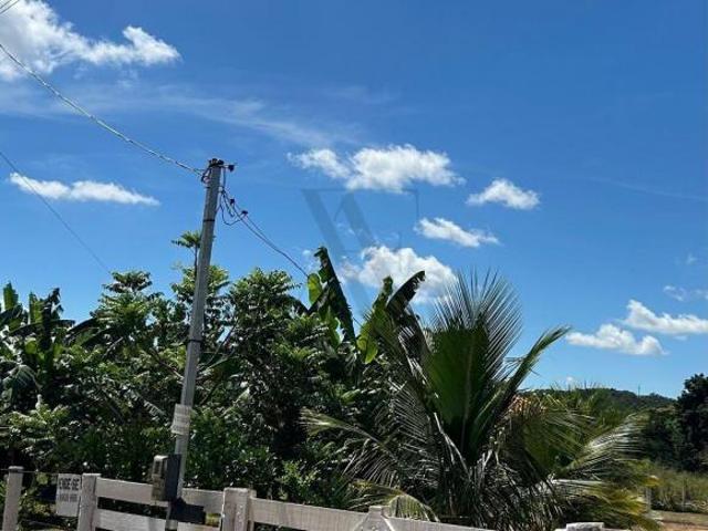 Sítio e chácara venda em Região Geográfica Imediata de Anápolis, Jaraguá