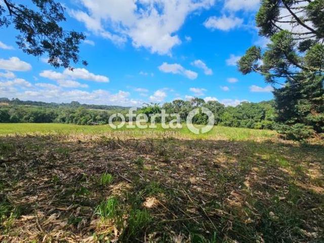 Sítio e chácara venda em Região Geográfica Imediata de Curitiba, Região Metropolitana de Curitiba