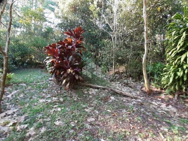 Sítio e chácara venda em Região Geográfica Imediata de Caxias do Sul, Nova Petrópolis