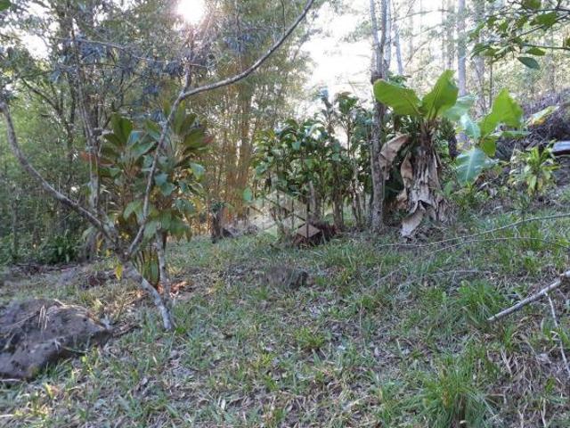 Sítio e chácara venda em Região Geográfica Imediata de Caxias do Sul, Nova Petrópolis