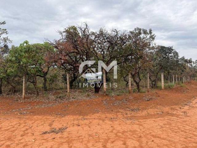 Sítio e chácara venda em Região Geográfica Imediata do Distrito Federal, Região Integrada de Desenvolvimento do Distrito Federal e Entorno