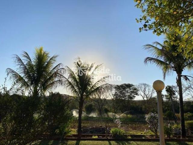 Sítio e chácara venda em Núcleo Rural Casa Grande, Gama