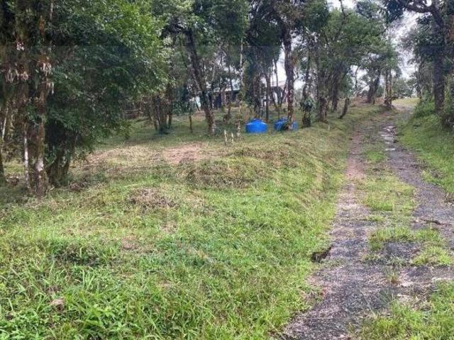 Sítio e chácara venda em Região Geográfica Imediata de Curitiba, Região Metropolitana de Curitiba