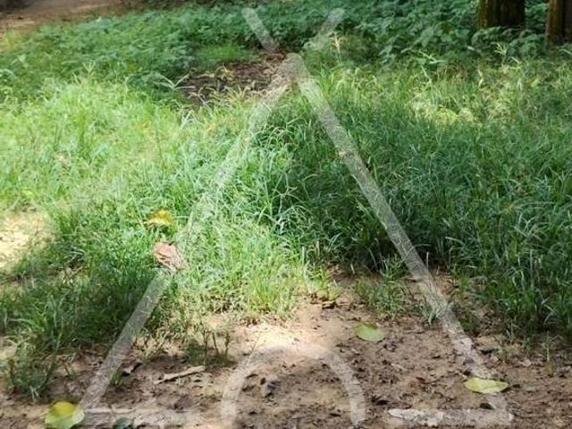 Sítio e chácara venda em Região Imediata de Araras, Região Metropolitana de Piracicaba