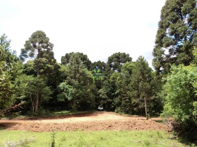 Sítio e chácara venda em Região Geográfica Imediata de Curitiba, Região Metropolitana de Curitiba