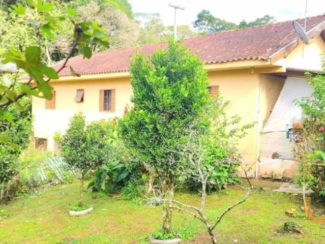 Apartamento aluguel em Região Geográfica Imediata de Curitiba, Região Metropolitana de Curitiba