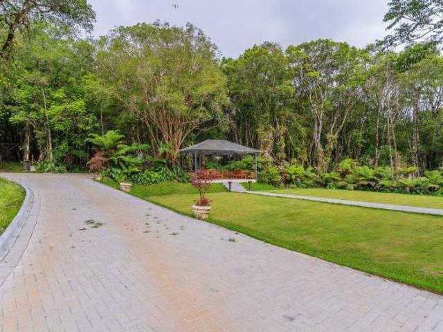 Sítio e chácara venda em Região Geográfica Imediata de Curitiba, Região Metropolitana de Curitiba