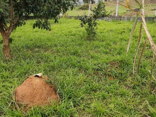 Sítio e chácara venda em Itapecerica da Serra