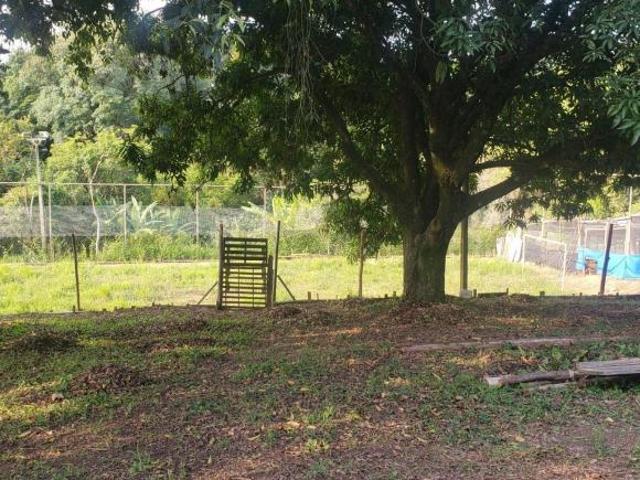 Sítio e chácara venda em Chácaras São Martinho, Campinas