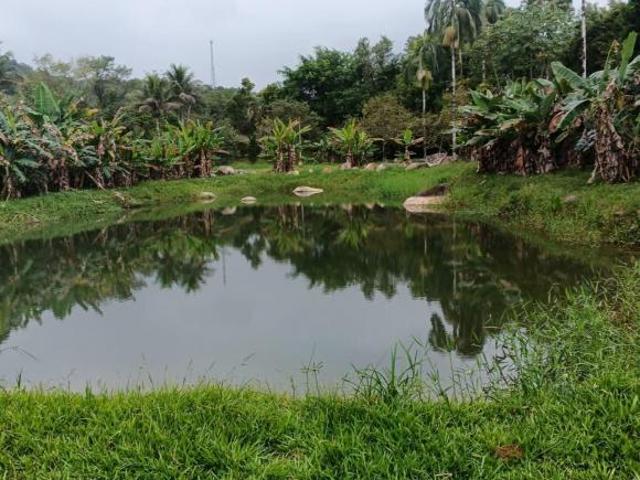Sítio e chácara venda em Região Geográfica Imediata de Paranaguá, Morretes