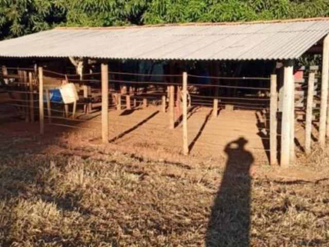 Sítio e chácara venda em Região Geográfica Imediata do Distrito Federal, Região Integrada de Desenvolvimento do Distrito Federal e Entorno