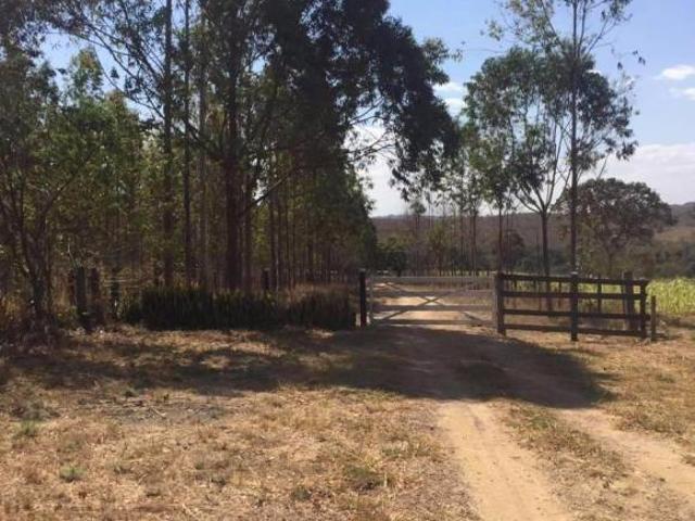Sítio e chácara venda em Brasília, Plano Piloto