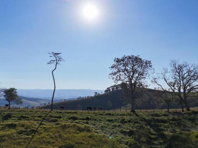 Sítio e chácara venda em Região Geográfica Imediata de Dores do Indaiá, Estrela do Indaiá