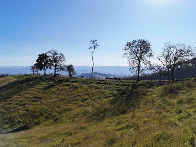 Sítio e chácara venda em Região Geográfica Imediata de Dores do Indaiá, Estrela do Indaiá