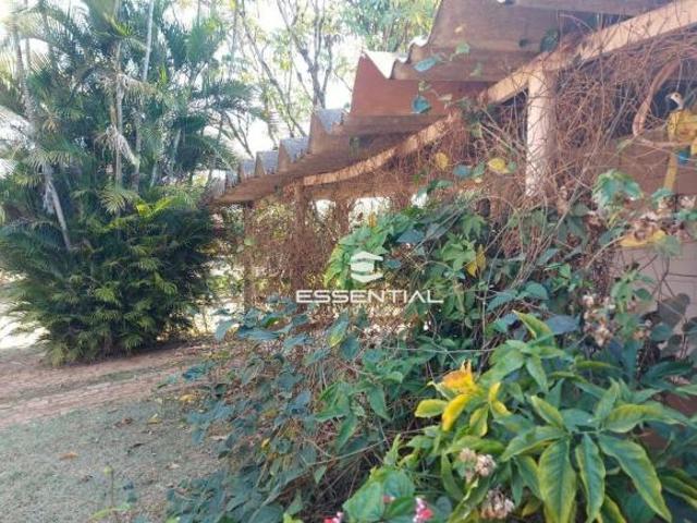 Sítio e chácara venda em Região Imediata de São José do Rio Preto, Região Metropolitana de São José do Rio Preto