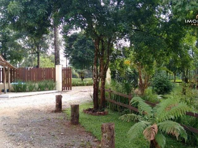 Sítio e chácara venda em Região Geográfica Imediata de Curitiba, Região Metropolitana de Curitiba