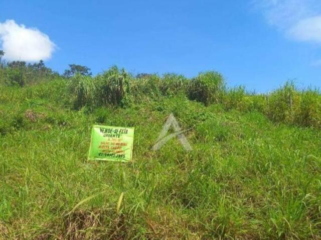 Sítio e chácara venda em Região Geográfica Imediata de Anápolis, Região Integrada de Desenvolvimento do Distrito Federal e Entorno