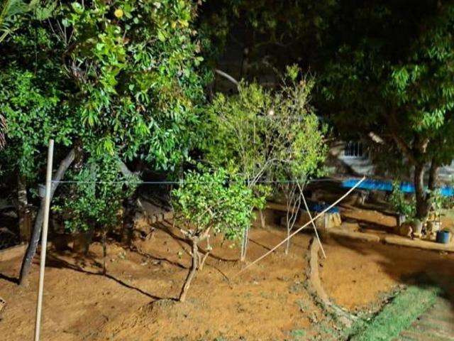 Sítio e chácara venda em Região Geográfica Imediata de Belo Horizonte, Região Metropolitana de Belo Horizonte