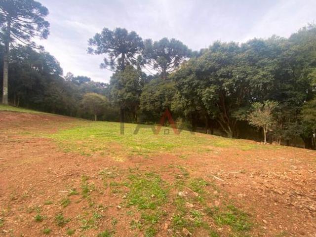 Sítio e chácara venda em Guarapuava, Região Geográfica Intermediária de Guarapuava