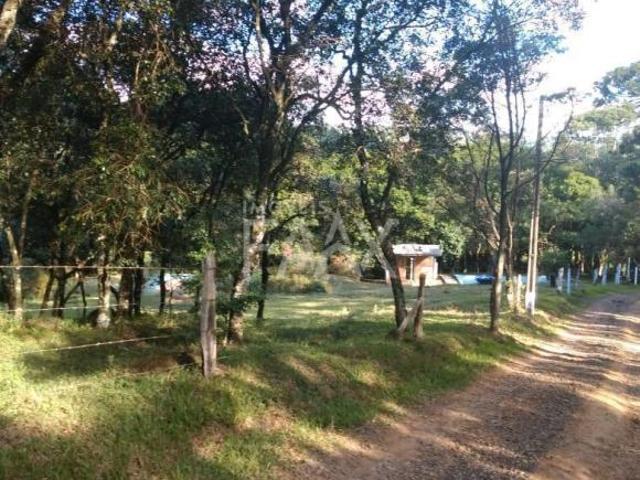 Sítio e chácara venda em Região Geográfica Imediata de Guarapuava, Guarapuava