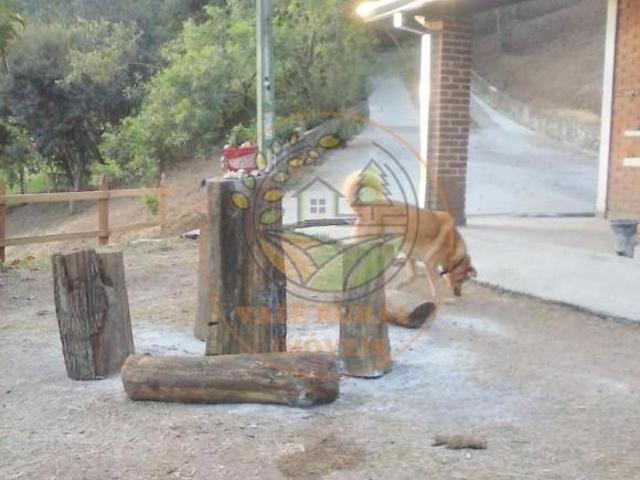Sítio e chácara venda em Vila Veneziani, São José dos Campos
