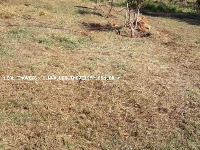 Sítio e chácara venda em Álvares Machado, Região Geográfica Intermediária de Presidente Prudente