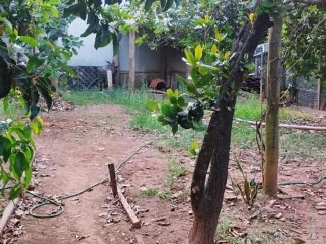 Sítio e chácara venda em Álvares Machado