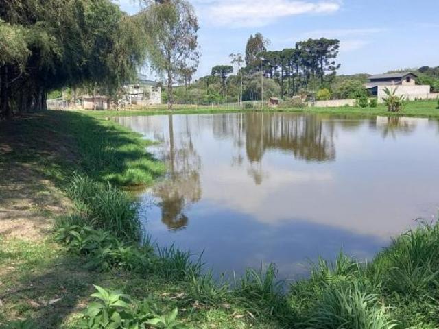 Sítio e chácara venda em Lapa