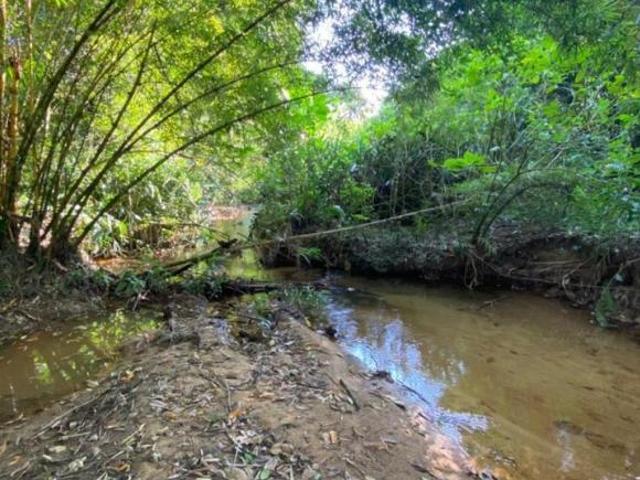Sítio e chácara venda em Região Geográfica Imediata de Paranaguá, Antonina