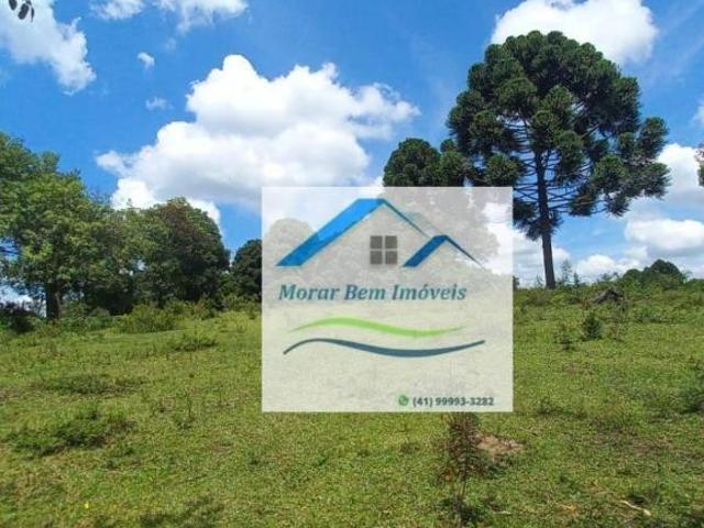 Sítio e chácara venda em Região Geográfica Imediata de União da Vitória, Antônio Olinto