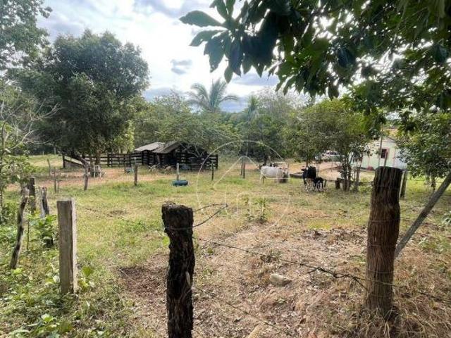 Sítio e chácara venda em Região Geográfica Imediata de Iporá, Aragarças
