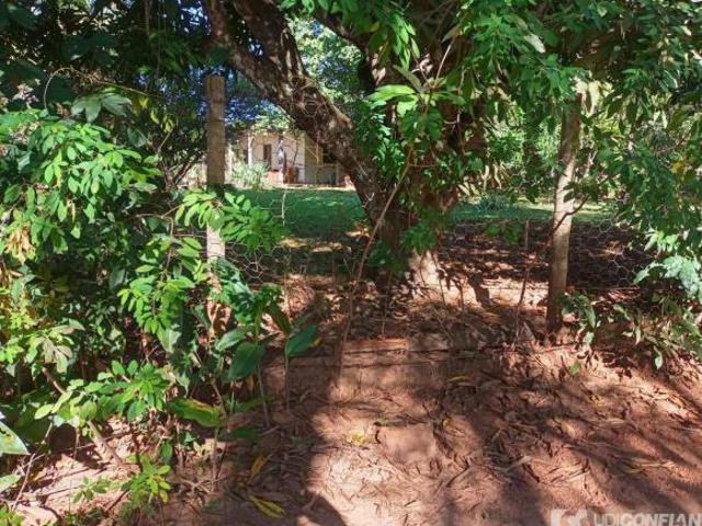 Sítio e chácara venda em Região Geográfica Imediata de Uberlândia, Araguari