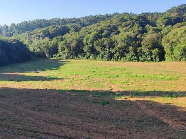 Sítio e chácara venda em Região Geográfica Imediata de Curitiba, Região Metropolitana de Curitiba